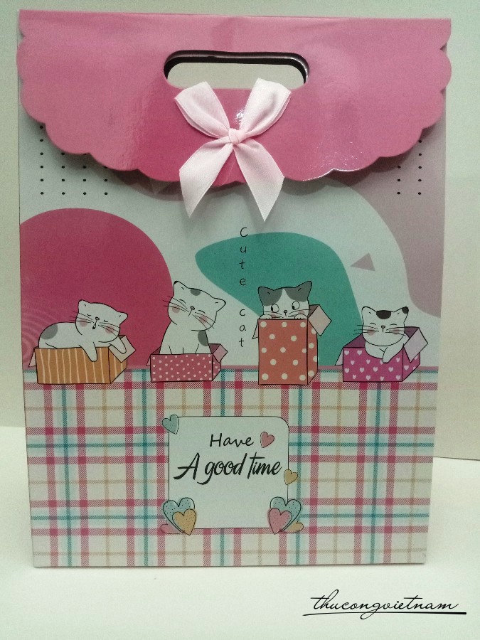 Túi giấy đựng quà A56 24x32x10.5cm